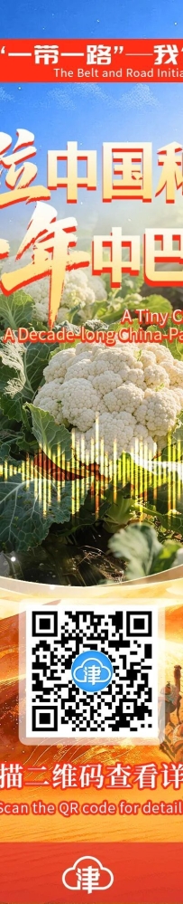 “一带一路”——我们共同的路 | 一粒中国种子 十年中巴情缘