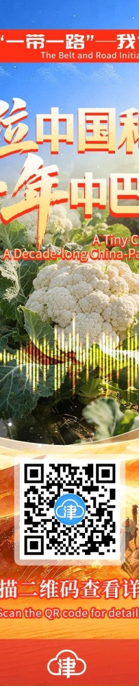 【北方网】“一带一路”——我们共同的路 | 一粒中国种子 十年中巴情缘