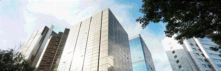 一带一路涉外合作丨圭亚那驻华大使馆盛邀,国樽携企业代表共探中圭合作新航向